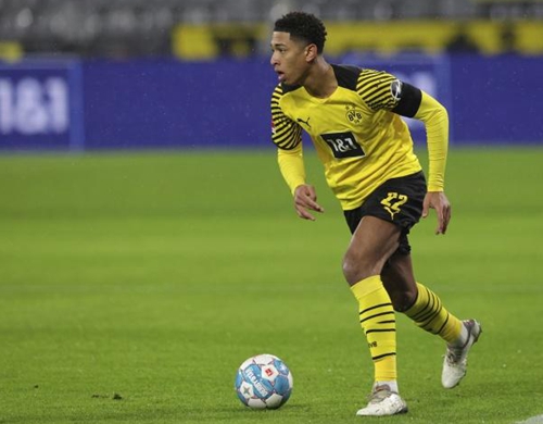 已在文中语 已在文中语